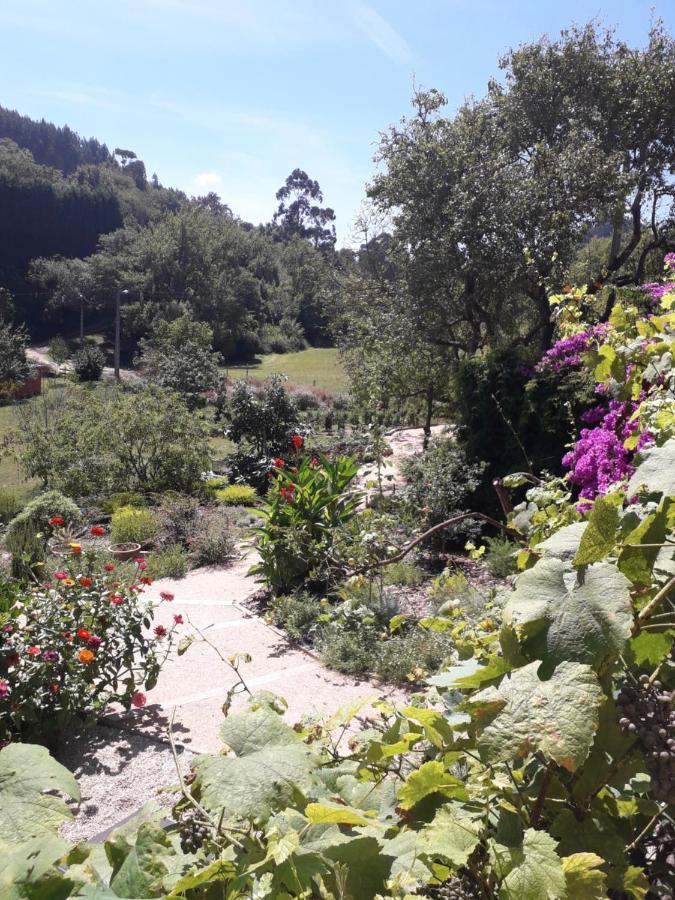 Paca Casa Rural. Arts And Landscape In Asturias Gijon Bagian luar foto