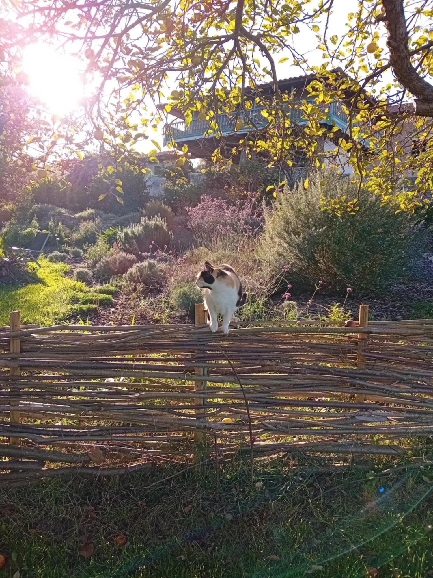 Paca Casa Rural. Arts And Landscape In Asturias Gijon Bagian luar foto